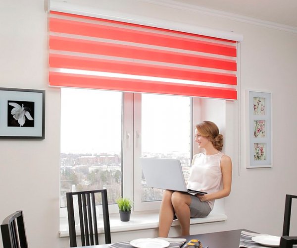 Рулонные шторы "день-ночь" (зебра) с выгодой до 20 % !!!