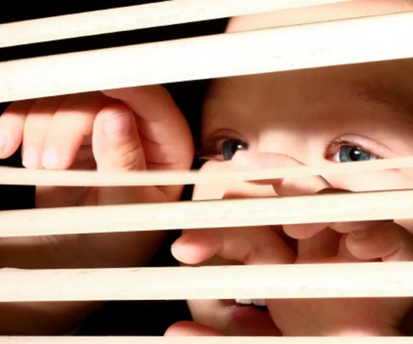 Подарок учебным заведениям и детским садам !